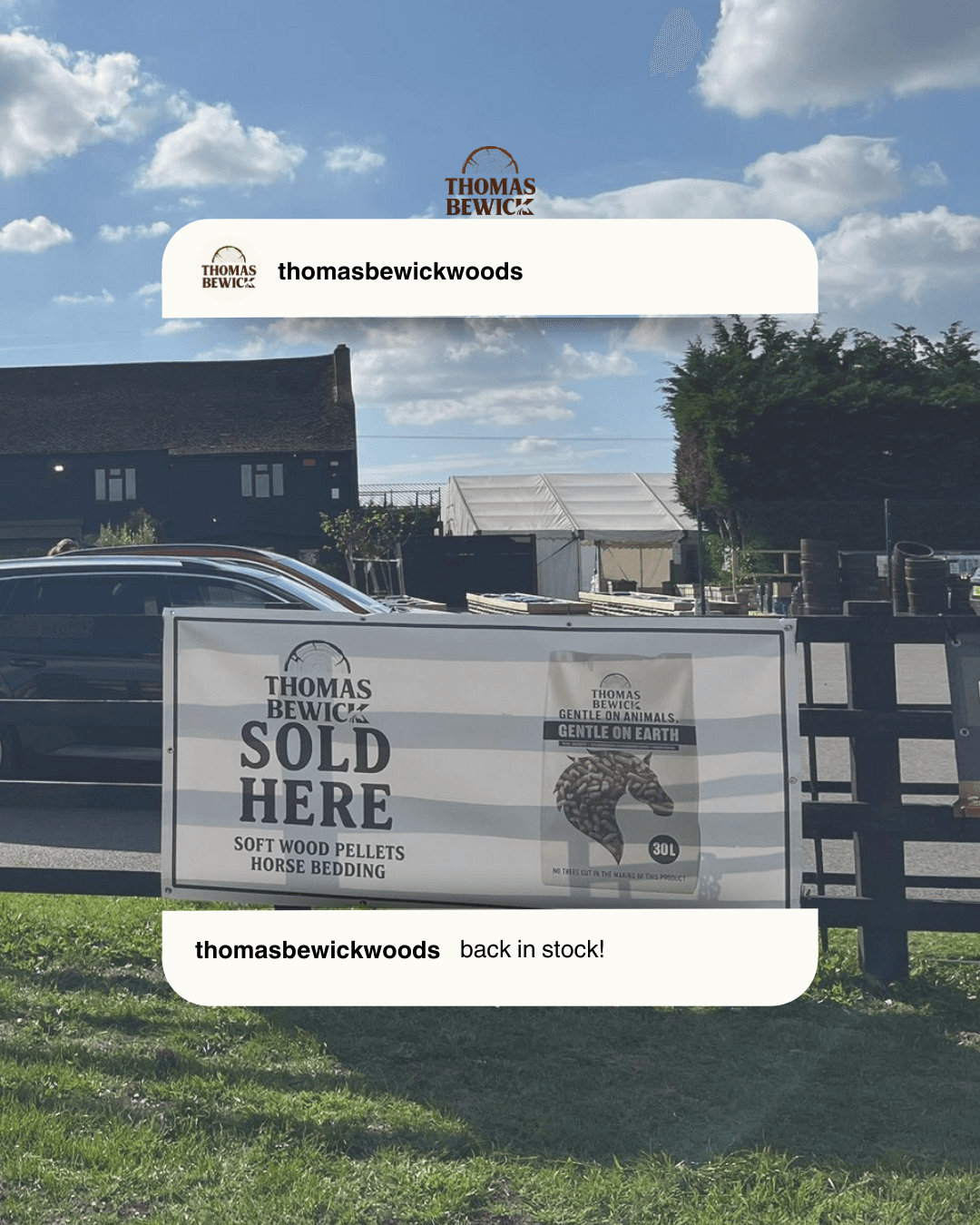 Thomas Bewick stockist sign